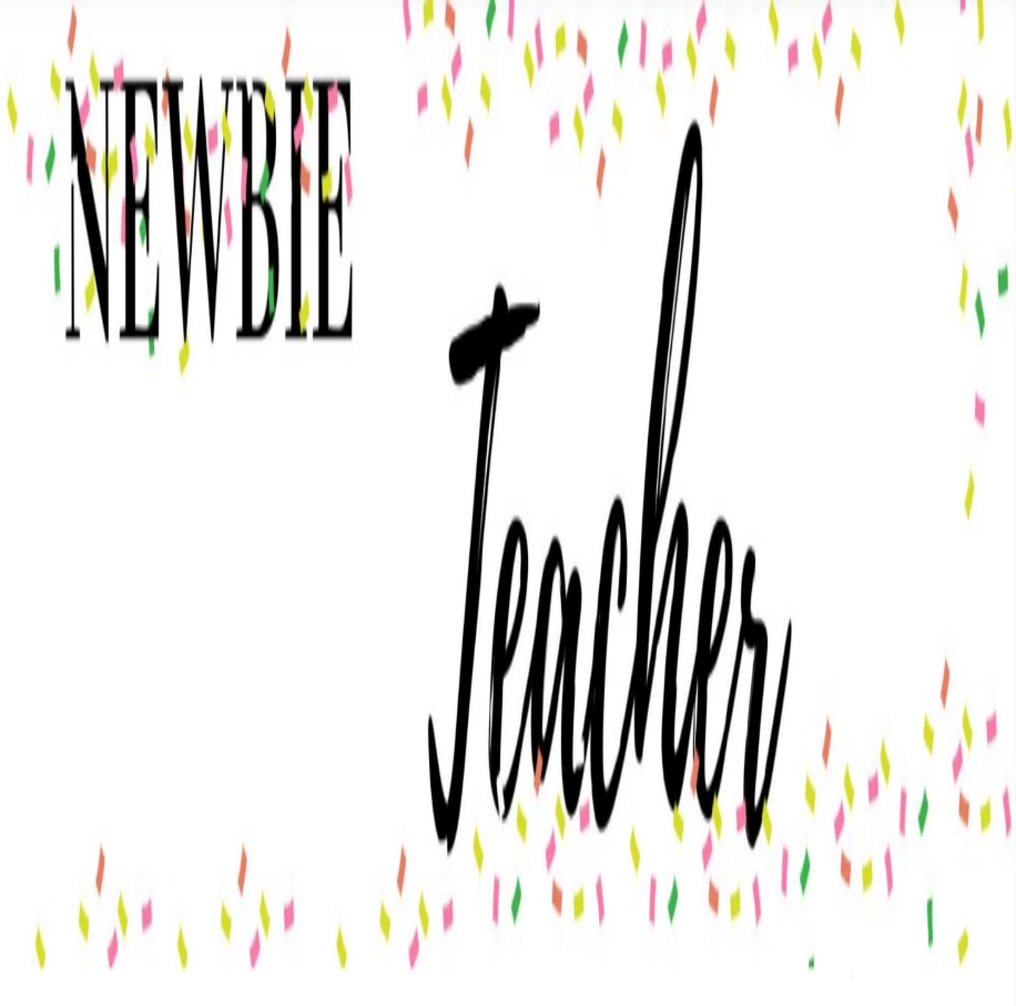 Teacher Newbie Website Screenshot